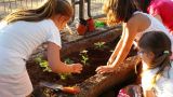 talleres ecológicos: plantando fresas con los más pequeños