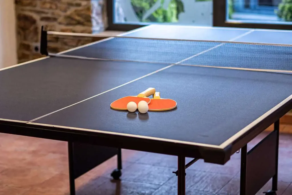 Molino de Losacio salon juegos 2