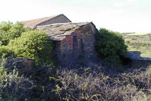 Estado del molino antes de su intervención y reconstrucción 4