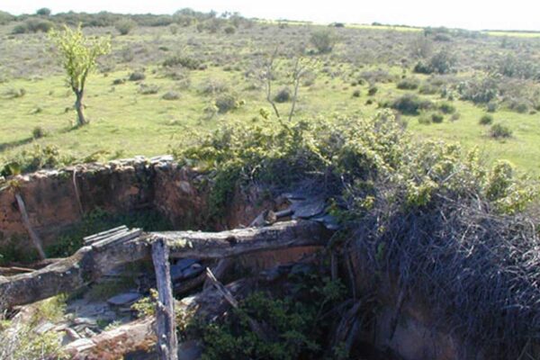Estado del molino antes de su intervención y reconstrucción 2